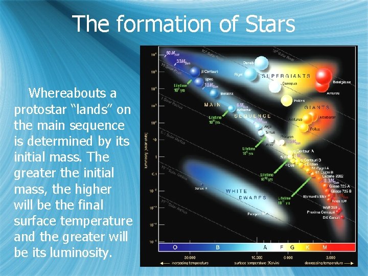 The formation of Stars Whereabouts a protostar “lands” on the main sequence is determined