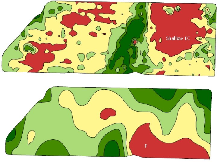 Shallow EC K Elevation Soil p. H P 