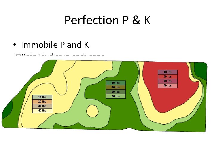 Perfection P & K • Immobile P and K � Rate Studies in each