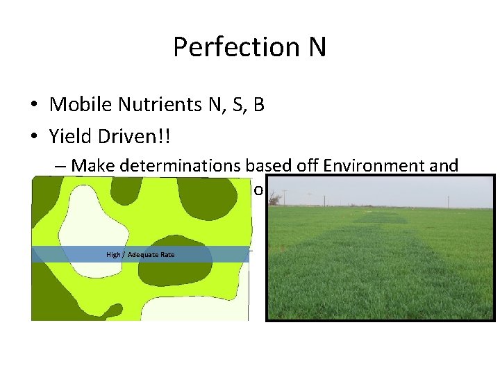 Perfection N • Mobile Nutrients N, S, B • Yield Driven!! – Make determinations