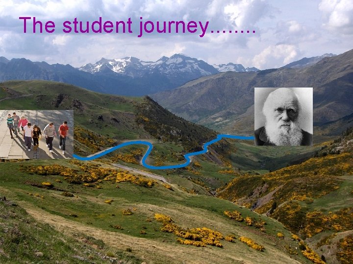 The student journey. . . . 
