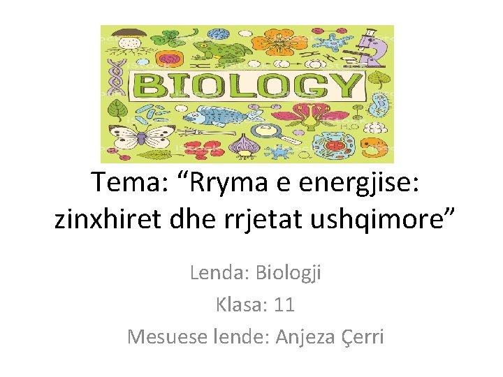 Tema: “Rryma e energjise: zinxhiret dhe rrjetat ushqimore” Lenda: Biologji Klasa: 11 Mesuese lende: