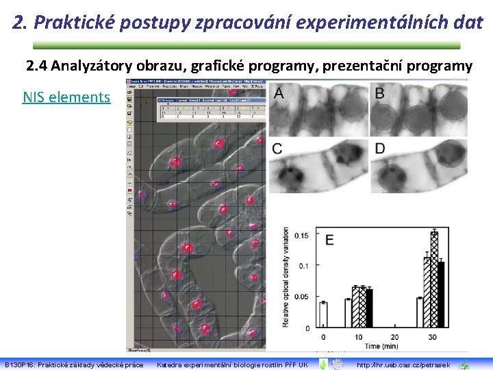 2. Praktické postupy zpracování experimentálních dat 2. 4 Analyzátory obrazu, grafické programy, prezentační programy