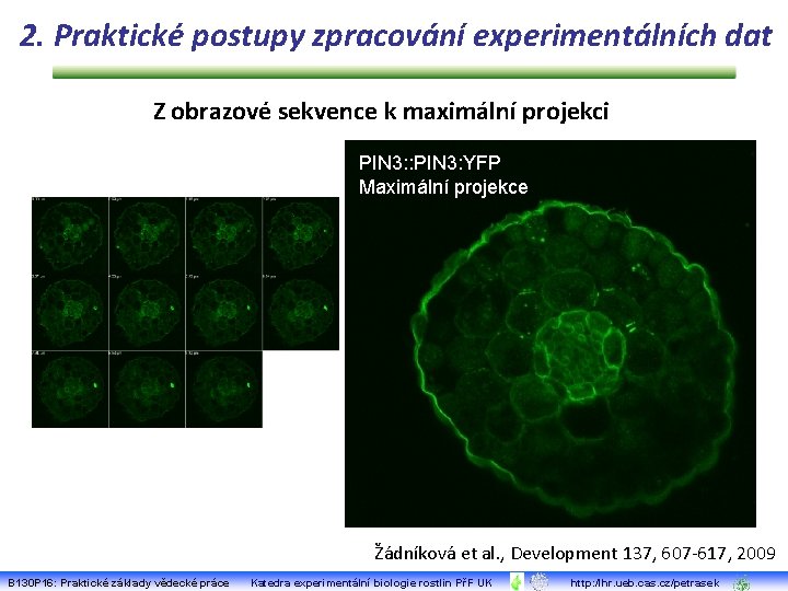 2. Praktické postupy zpracování experimentálních dat Z obrazové sekvence k maximální projekci PIN 3: