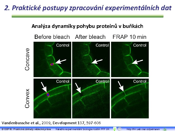 2. Praktické postupy zpracování experimentálních dat Analýza dynamiky pohybu proteinů v buňkách Vandenbussche et