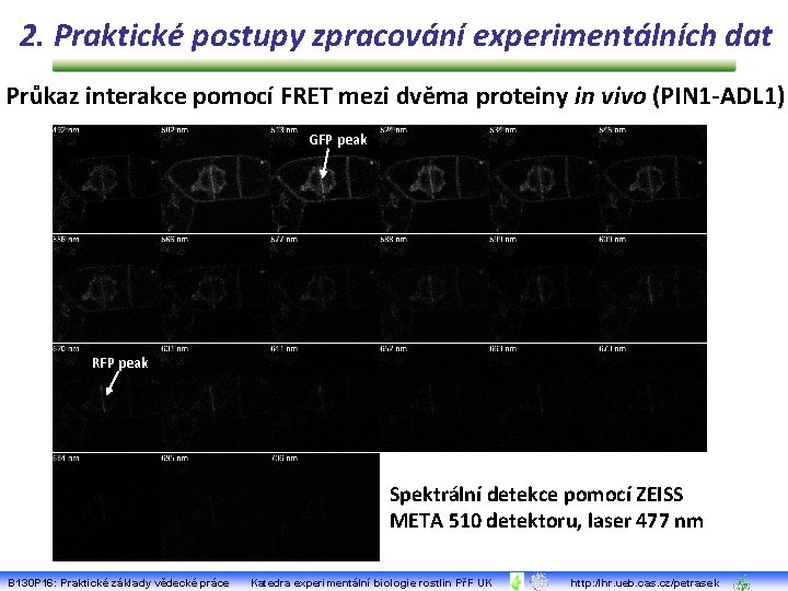 2. Praktické postupy zpracování experimentálních dat Průkaz interakce pomocí FRET mezi dvěma proteiny in