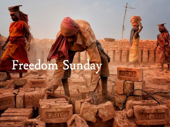 Freedom Sunday 