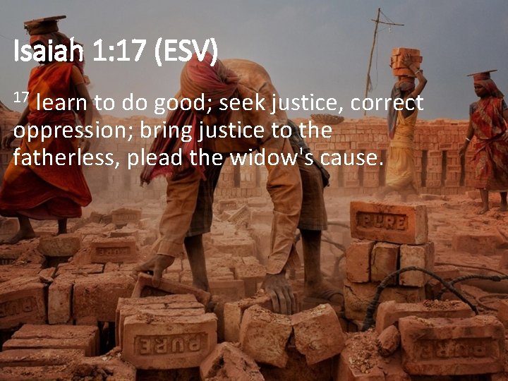 Isaiah 1: 17 (ESV) learn to do good; seek justice, correct oppression; bring justice