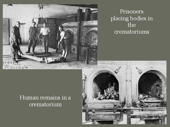 Prisoners placing bodies in the crematoriums Human remains in a crematorium 