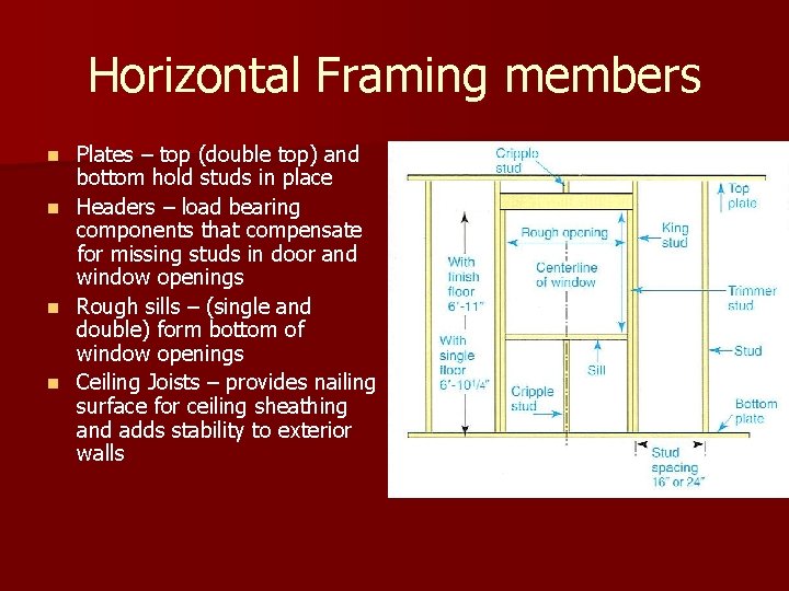 Horizontal Framing members n n Plates – top (double top) and bottom hold studs