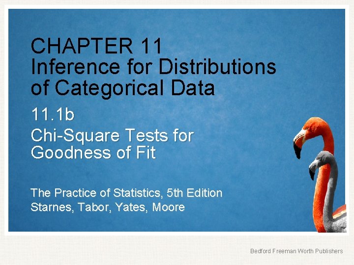 CHAPTER 11 Inference for Distributions of Categorical Data 11. 1 b Chi-Square Tests for