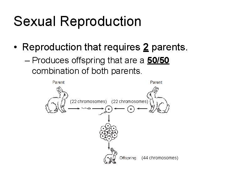 Sexual Reproduction • Reproduction that requires 2 parents. – Produces offspring that are a