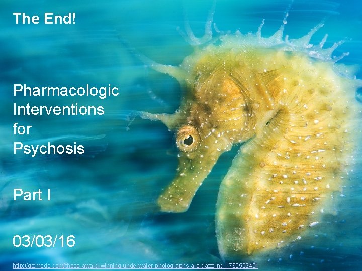 The End! Pharmacologic Interventions for Psychosis Part I 03/03/16 http: //gizmodo. com/these-award-winning-underwater-photographs-are-dazzling-1760502451 
