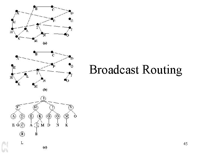 Broadcast Routing 45 