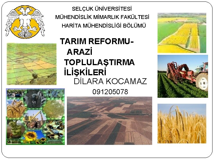 SELÇUK ÜNİVERSİTESİ MÜHENDİSLİK MİMARLIK FAKÜLTESİ HARİTA MÜHENDİSLİĞİ BÖLÜMÜ TARIM REFORMUARAZİ TOPLULAŞTIRMA İLİŞKİLERİ DİLARA KOCAMAZ