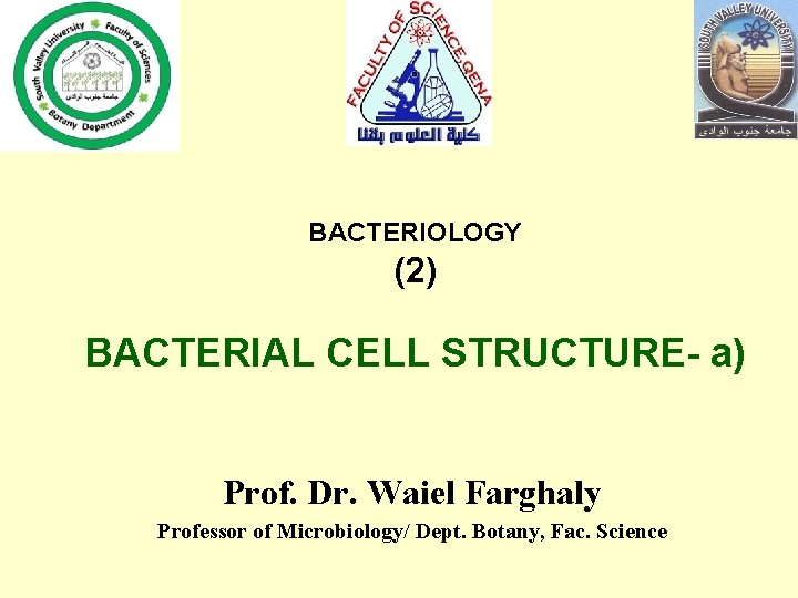 BACTERIOLOGY (2) BACTERIAL CELL STRUCTURE- a) Prof. Dr. Waiel Farghaly Professor of Microbiology/ Dept.
