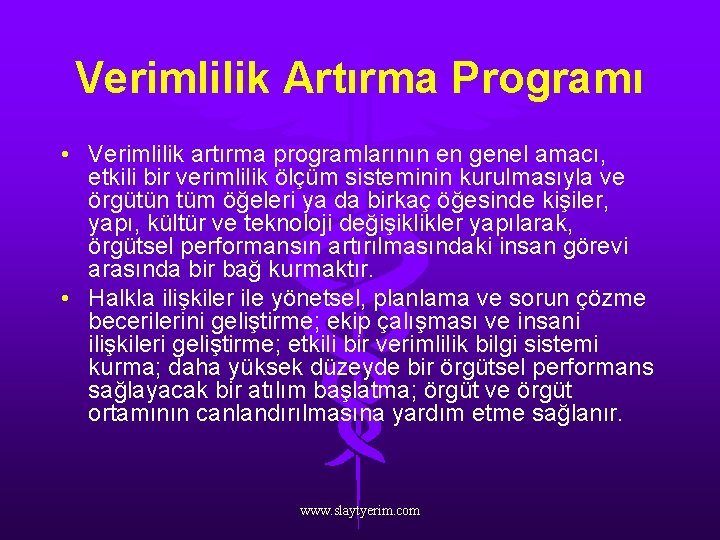 Verimlilik Artırma Programı • Verimlilik artırma programlarının en genel amacı, etkili bir verimlilik ölçüm