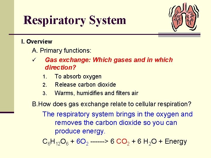Respiratory System I. Overview A. Primary functions: ü Gas exchange: Which gases and in