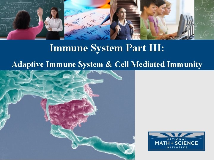 Immune System Part III: Adaptive Immune System & Cell Mediated Immunity 