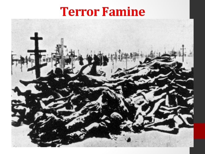 Terror Famine Terror Famine