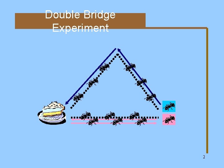 Double Bridge Experiment 2 