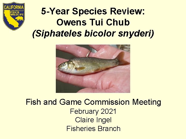 5 -Year Species Review: Owens Tui Chub (Siphateles bicolor snyderi) Fish and Game Commission