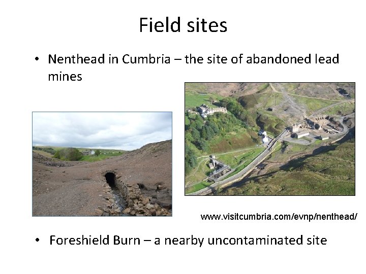 Field sites • Nenthead in Cumbria – the site of abandoned lead mines www.