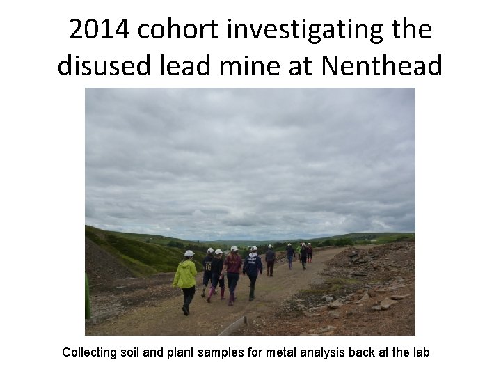 2014 cohort investigating the disused lead mine at Nenthead Collecting soil and plant samples