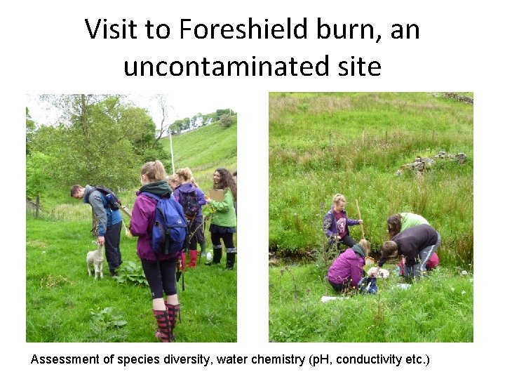 Visit to Foreshield burn, an uncontaminated site Assessment of species diversity, water chemistry (p.