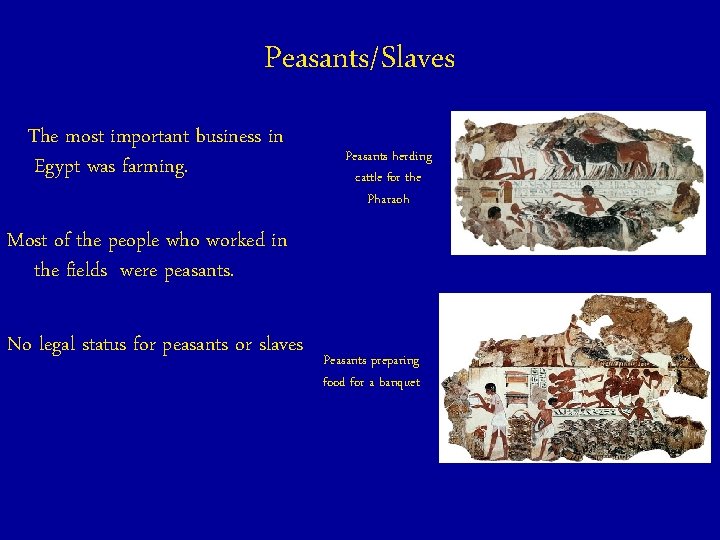 Peasants/Slaves The most important business in Egypt was farming. Peasants herding cattle for the