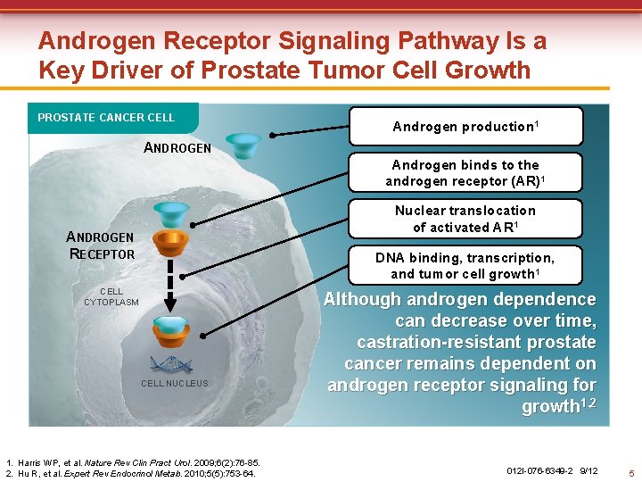 Androgen Receptor Signaling Pathway Is a Key Driver of Prostate Tumor Cell Growth PROSTATE Androgen Receptor Signaling Pathway Is a Key Driver of Prostate Tumor Cell Growth PROSTATE