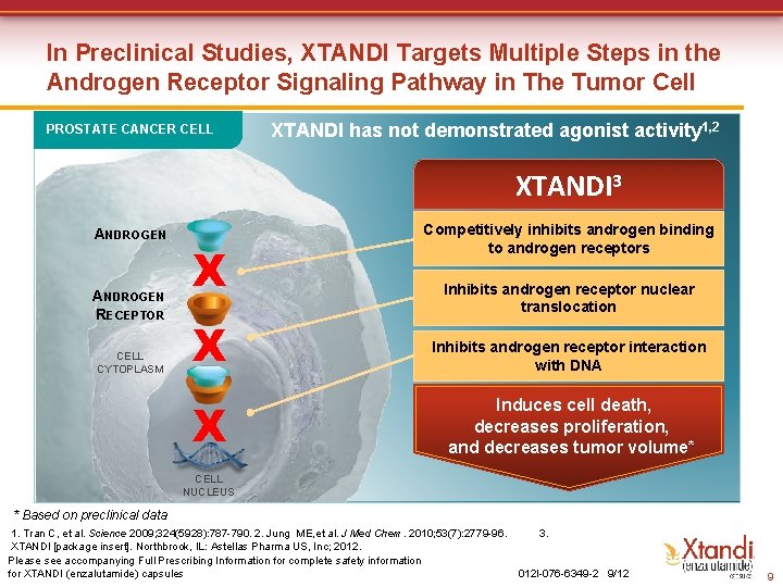 In Preclinical Studies, XTANDI Targets Multiple Steps in the Androgen Receptor Signaling Pathway in In Preclinical Studies, XTANDI Targets Multiple Steps in the Androgen Receptor Signaling Pathway in