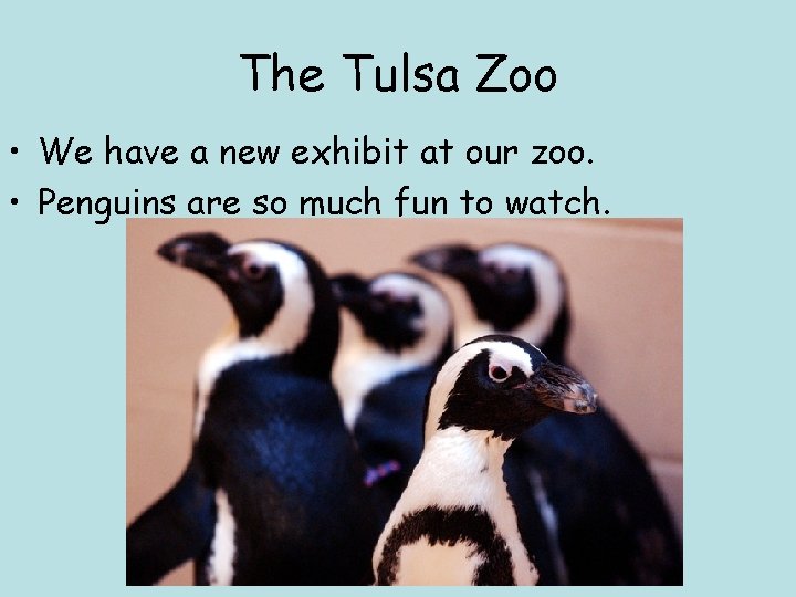 The Tulsa Zoo • We have a new exhibit at our zoo. • Penguins