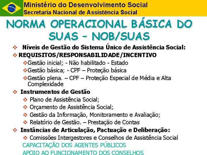 Ministério do Desenvolvimento Social Secretaria Nacional de Assistência Social NORMA OPERACIONAL BÁSICA DO SUAS