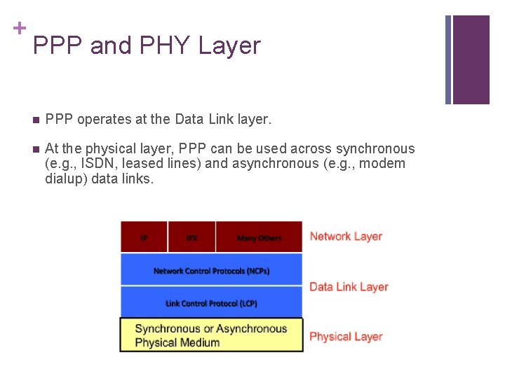 + PPP and PHY Layer n PPP operates at the Data Link layer. n