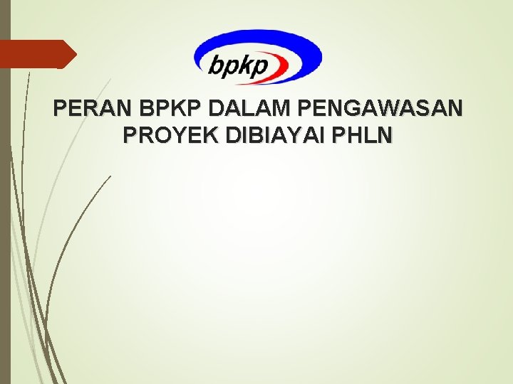 PERAN BPKP DALAM PENGAWASAN PROYEK DIBIAYAI PHLN 