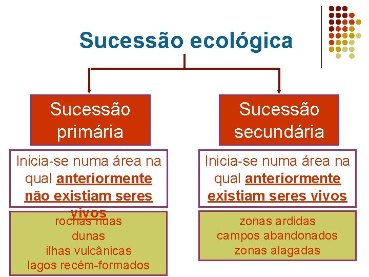 Sucessão ecológica Sucessão primária Sucessão secundária Inicia-se numa área na qual anteriormente não existiam