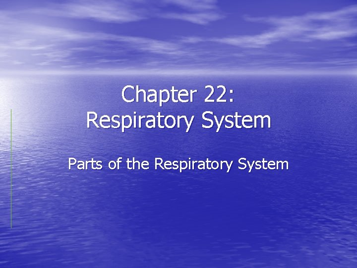 Chapter 22: Respiratory System Parts of the Respiratory System 