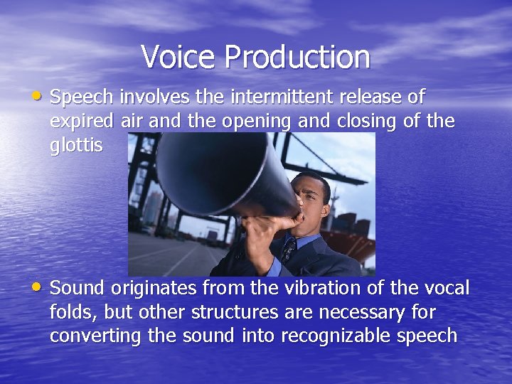 Voice Production • Speech involves the intermittent release of expired air and the opening