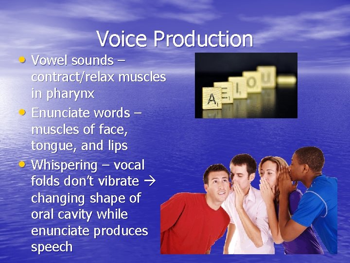 Voice Production • Vowel sounds – • • contract/relax muscles in pharynx Enunciate words