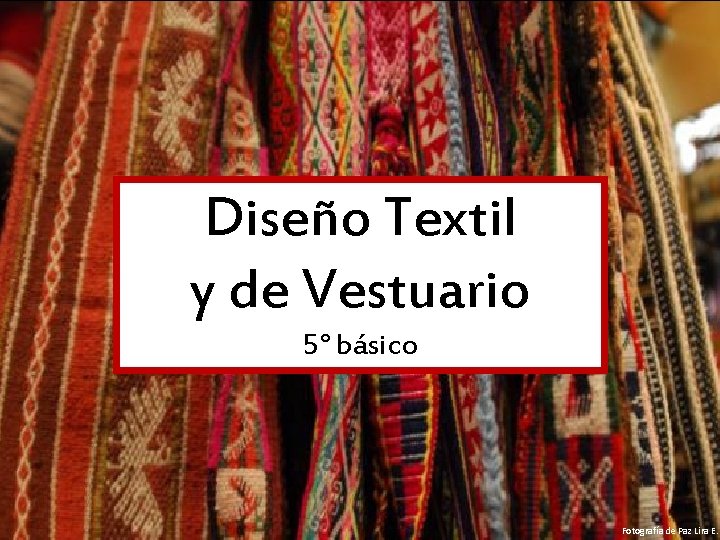 Diseño Textil y de Vestuario 5° básico Fotografía de Paz Lira E. 