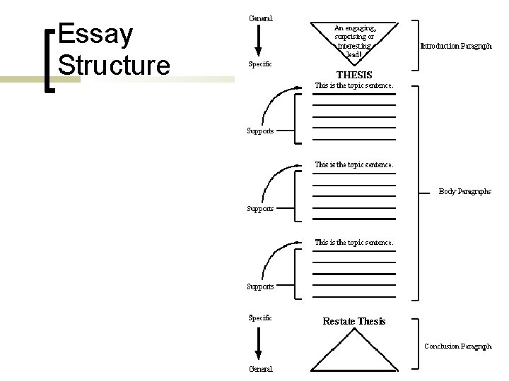 Essay Structure 