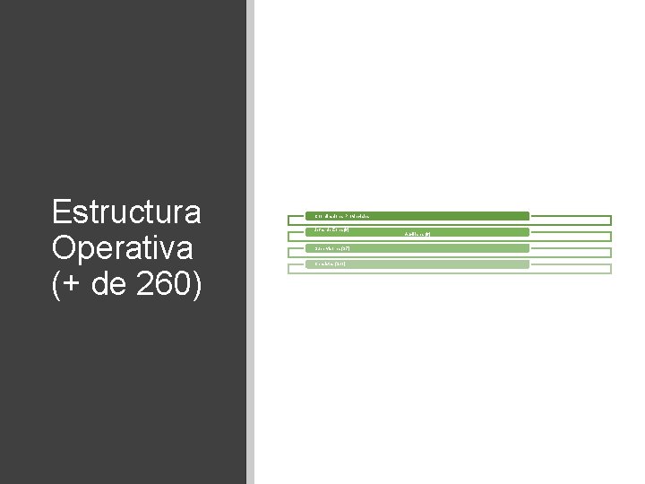 Estructura Operativa (+ de 260) Coordinadores Provinciales Jefes de Zona (6) Supervisores (37) Censistas