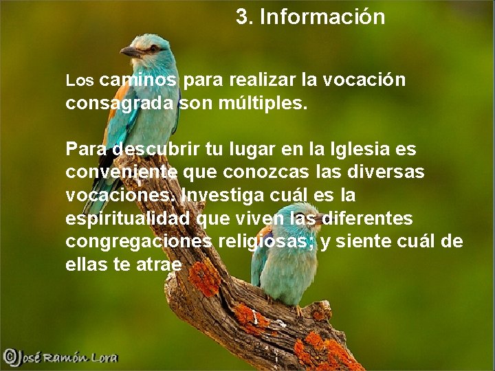 3. Información Los caminos para realizar la vocación consagrada son múltiples. Para descubrir tu