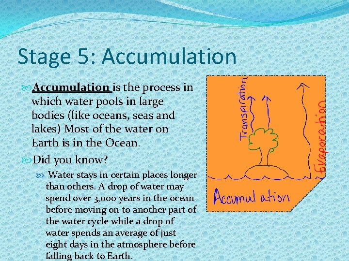 Stage 5: Accumulation is the process in which water pools in large bodies (like