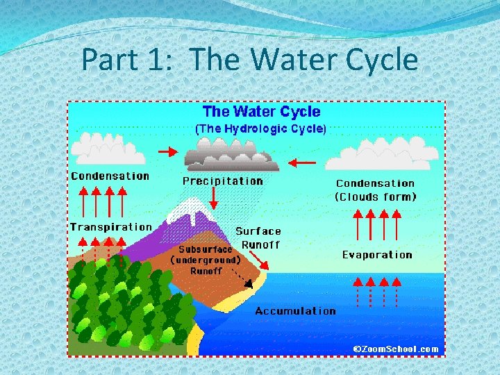 Part 1: The Water Cycle 