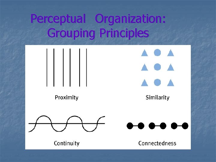 Perceptual Organization: Grouping Principles 