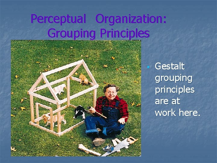 Perceptual Organization: Grouping Principles § Gestalt grouping principles are at work here. 