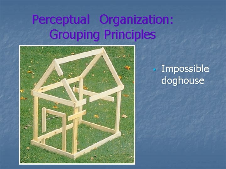 Perceptual Organization: Grouping Principles § Impossible doghouse 