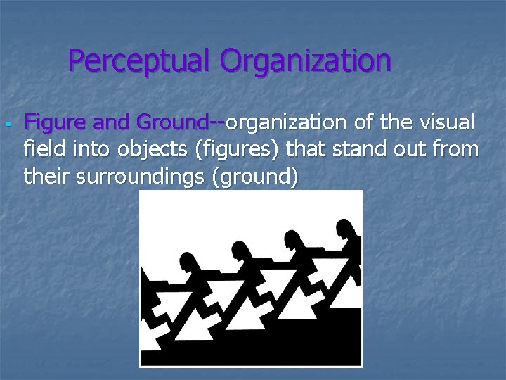 Perceptual Organization § Figure and Ground--organization of the visual field into objects (figures) that
